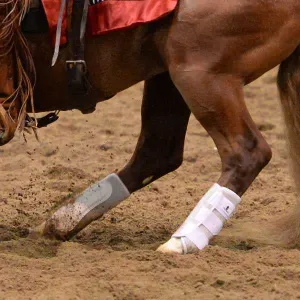 Classic Equine AirWave EZ Wrap II - Hind Boots, PAIR