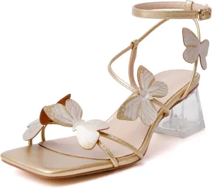 Zamikoo Women's Heeled Sandals Square Open Toe Ankle Strap Block Heels Strappy Clear Heels Chunky Low Heels